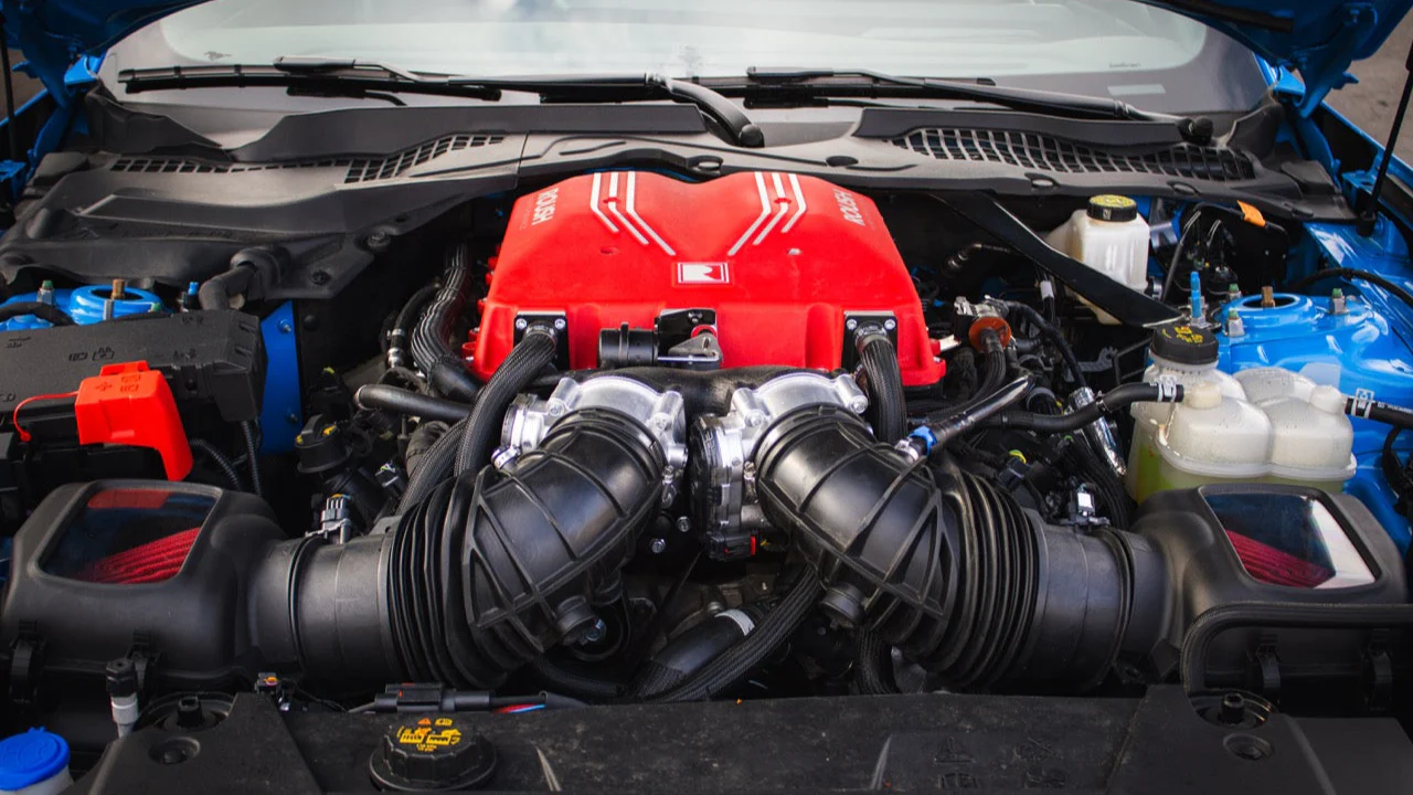 Engineered Style, Driven by Performance